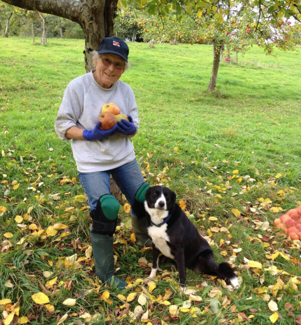 All about apples – a poem in celebration of my wonderful Mum