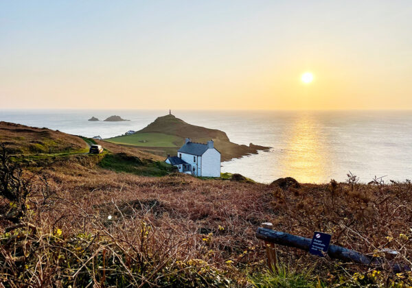 How to fall in love with the future.