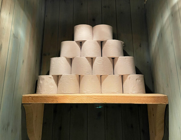 On a quest for the best recycled toilet paper