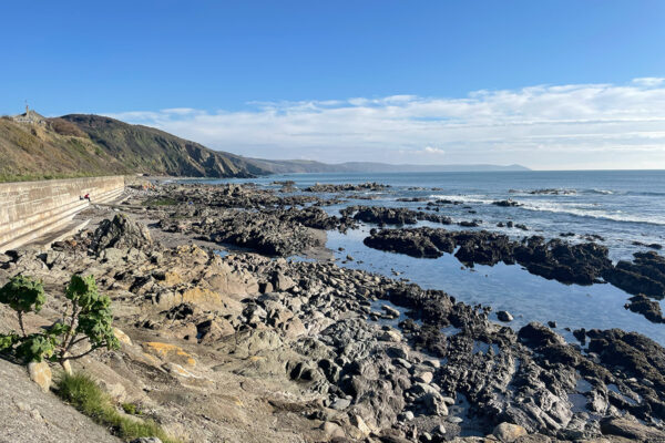 New Year’s resolutions. Who needs them?