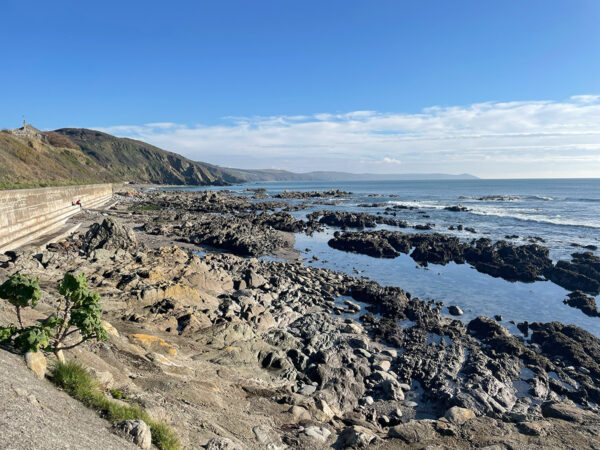 New Year’s resolutions. Who needs them?