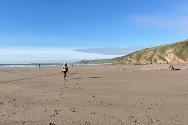 The best dog friendly beaches in South East Cornwall