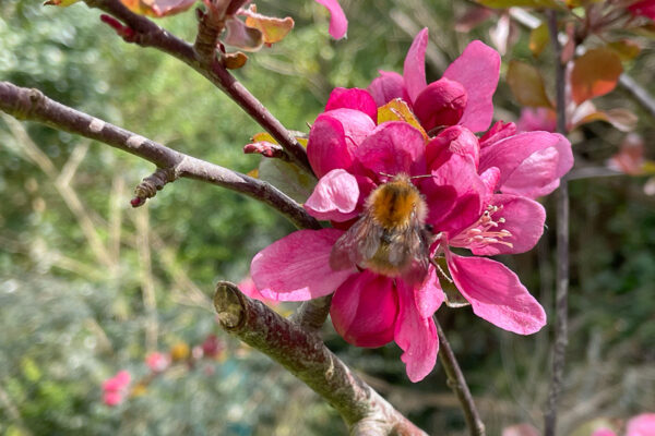 Our journey to net zero – Decarbonising our energy use