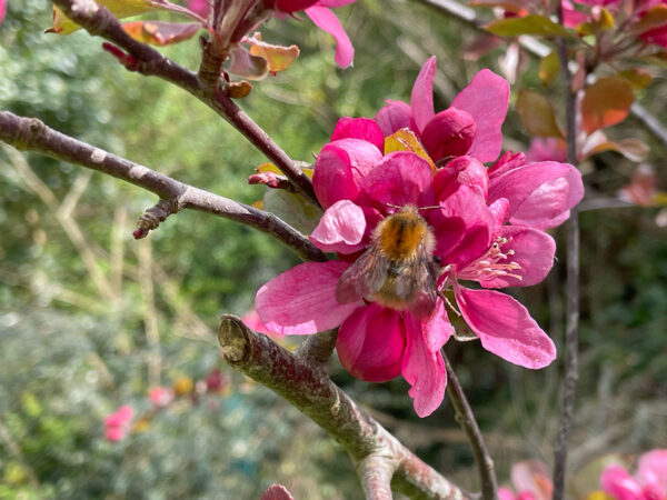 Our journey to net zero – Decarbonising our energy use