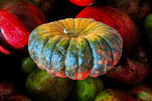 Our round up of the best halloween, half term and bonfire events in South East Cornwall