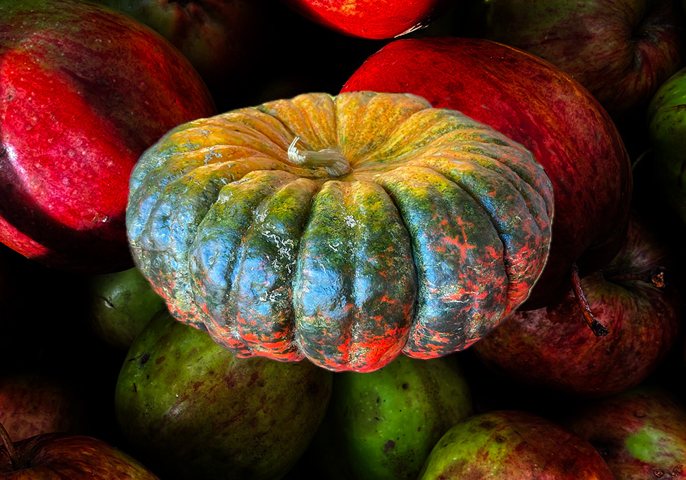 A pumpkin floats above apples